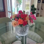 Homestay Casa Guido *