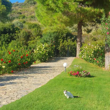 Casa Guido Alloggio in famiglia Cittadella del Capo